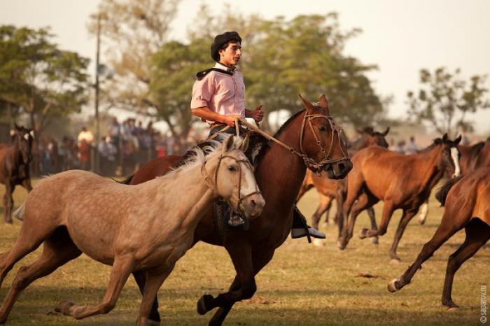   Fiesta de la Tradicion (54 )