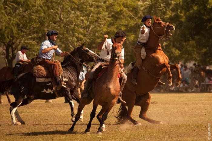   Fiesta de la Tradicion (54 )