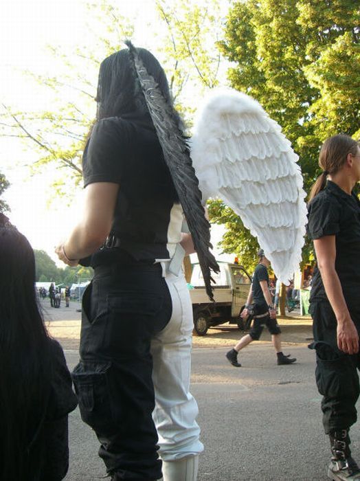   Wave-Gotik-Treffen Festival   (46 )