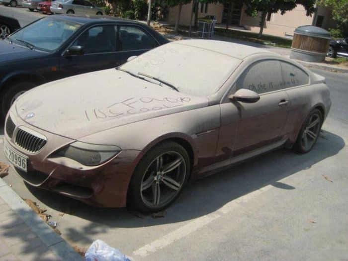  BMW M6 (8 )