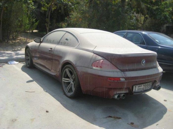  BMW M6 (8 )