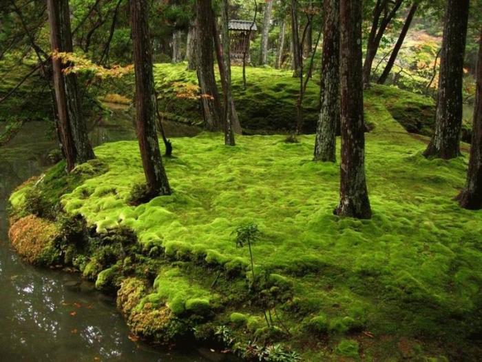   Saiho-ji.  (28 )