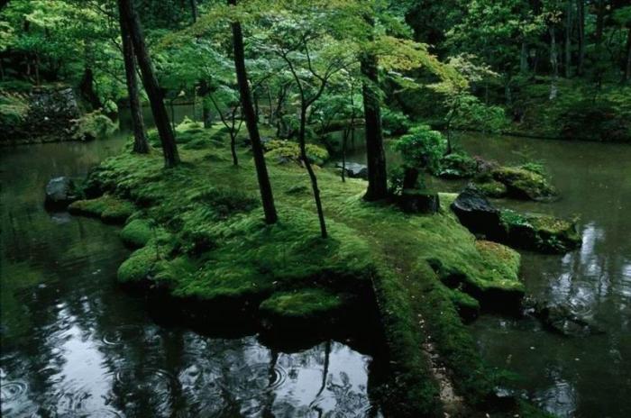   Saiho-ji.  (28 )