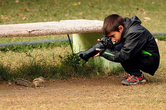     Young Wildlife Photographer (15 )