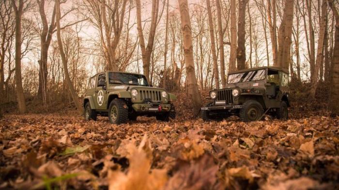 Jeep Wrangler:  Geiger Cars   Willys (17 )